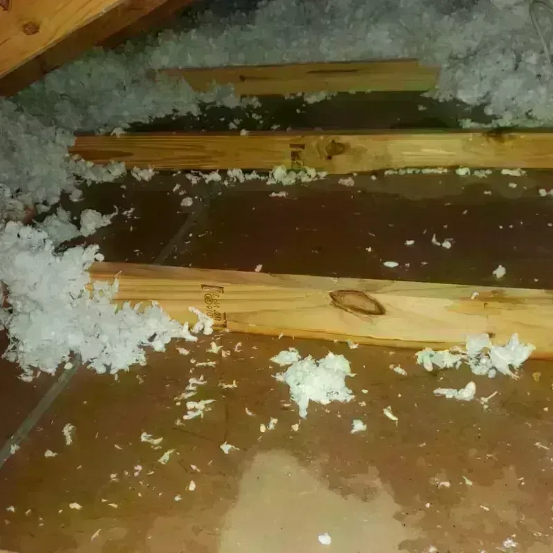 Attic Water Damage in Marysville, CA