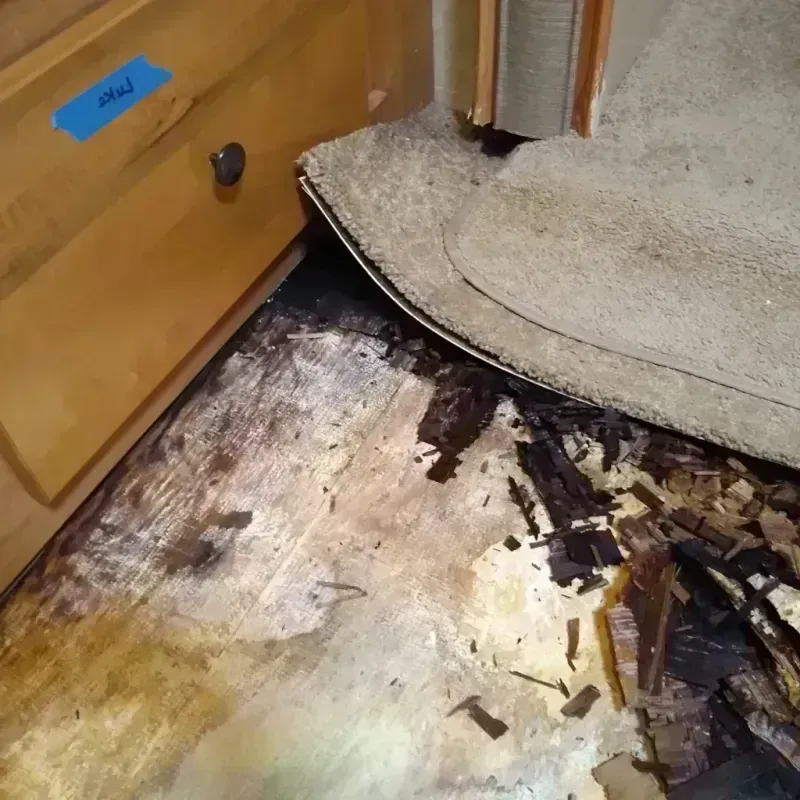 Wood Floor Water Damage in Marysville, CA